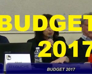 Auriol: BUDGET 2017